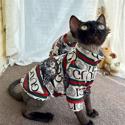 mens kitten gucci|gucci clothing for kids.